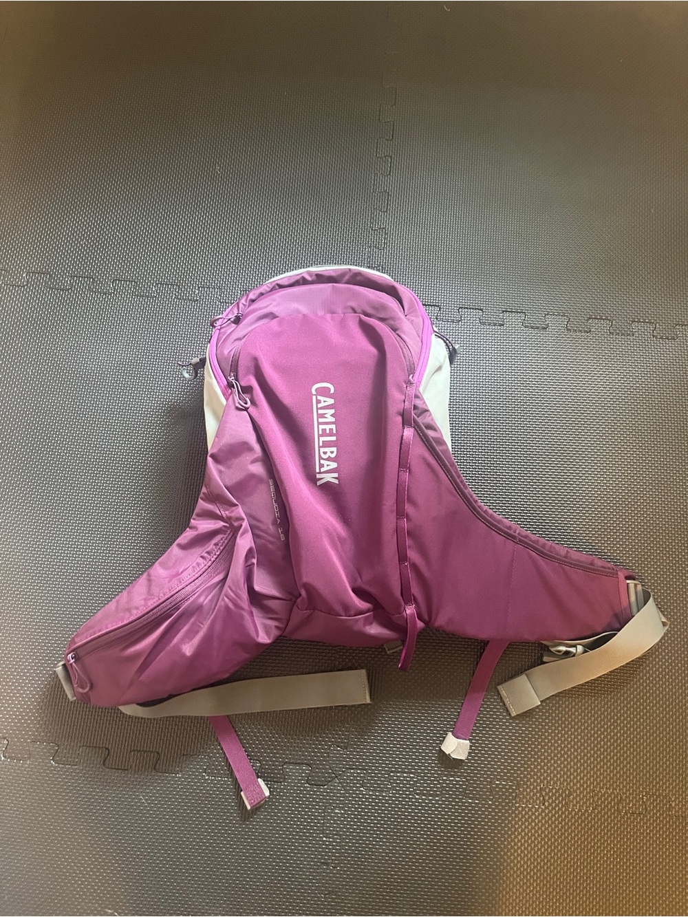 CamelBak Sequoia 18 Women's Hydration Backpack Purple 18L EUC *Reservoir Not Inc